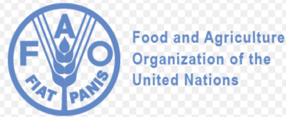 FAO — Projet Promire