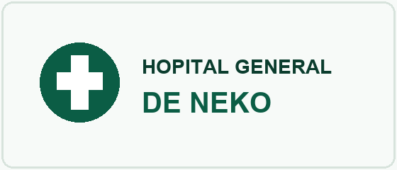 Hôpital Général de Neko